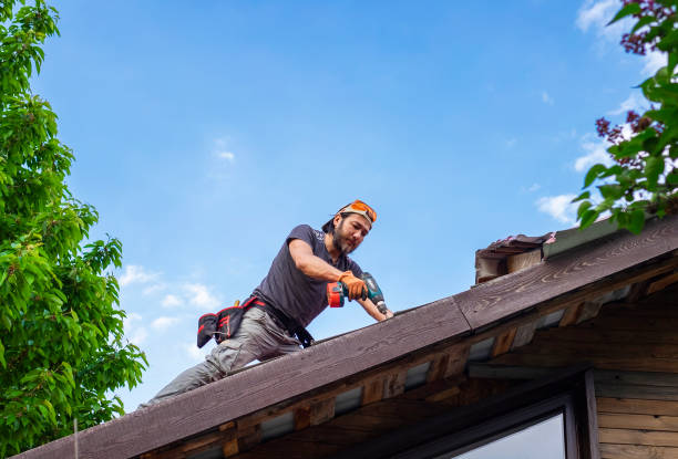 Best Gutter Installation and Repair  in White Cloud, MI