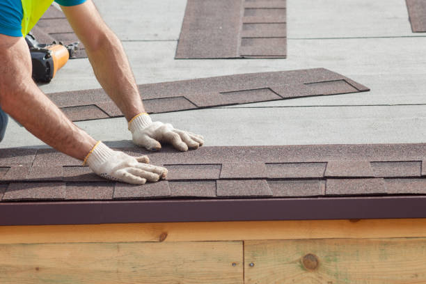 Best Roof Moss and Algae Removal  in White Cloud, MI